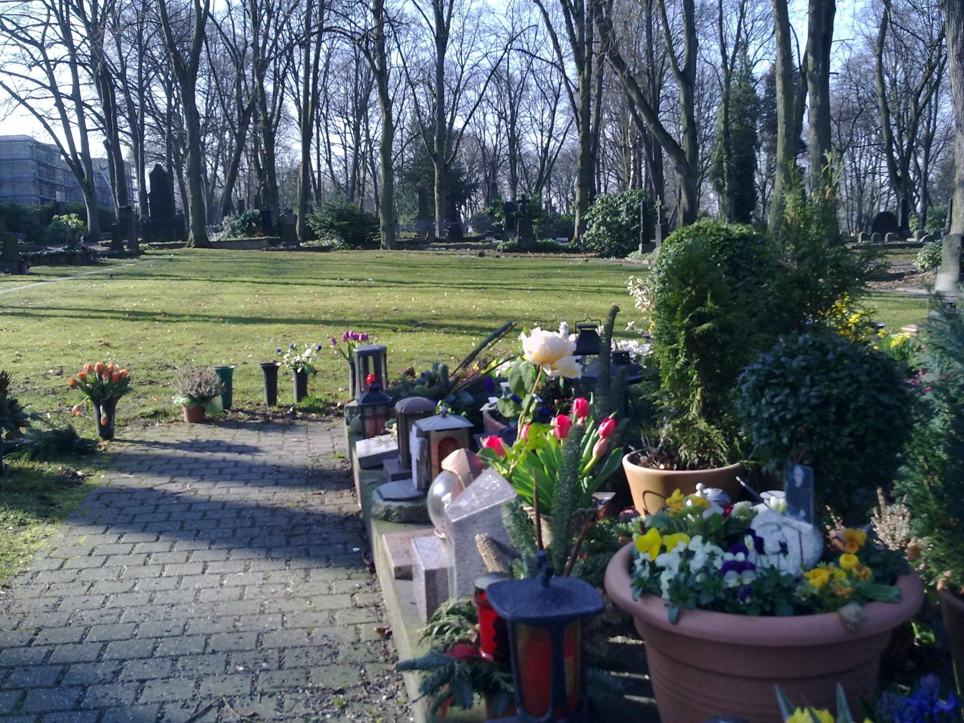 Ablage für Blumen am ehemaligen anonymen Bestattungsfeld auf dem Altstadtfriedhof