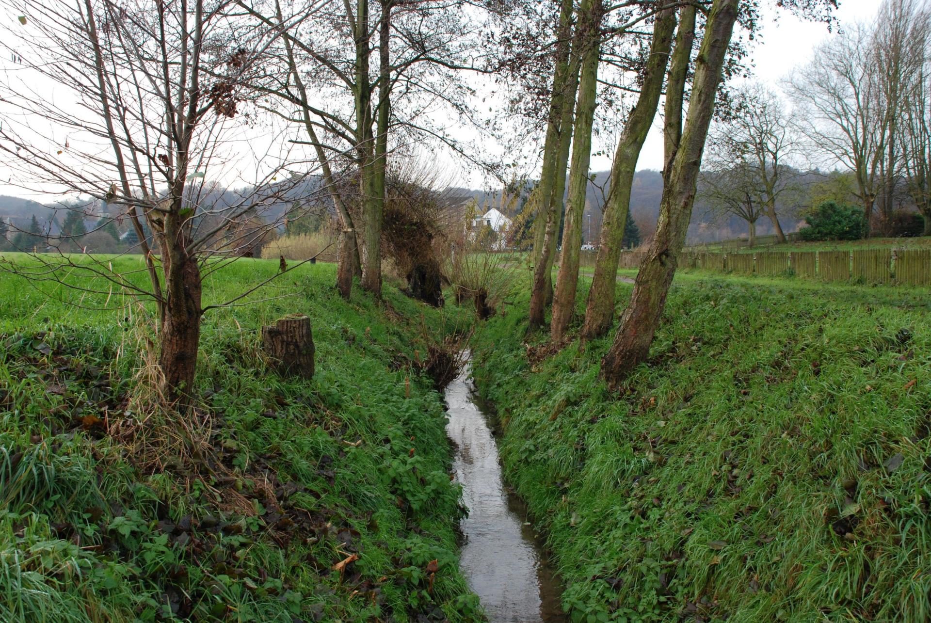 Der Alpenbach bei Kilometer 0,1 - begradigt und strukturarm.