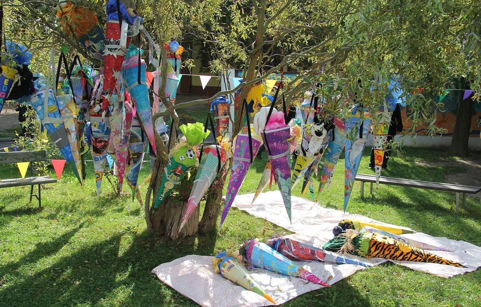 Viele bunte Schultüten in Äste eines Baumes gehängt und darunter gelegt.