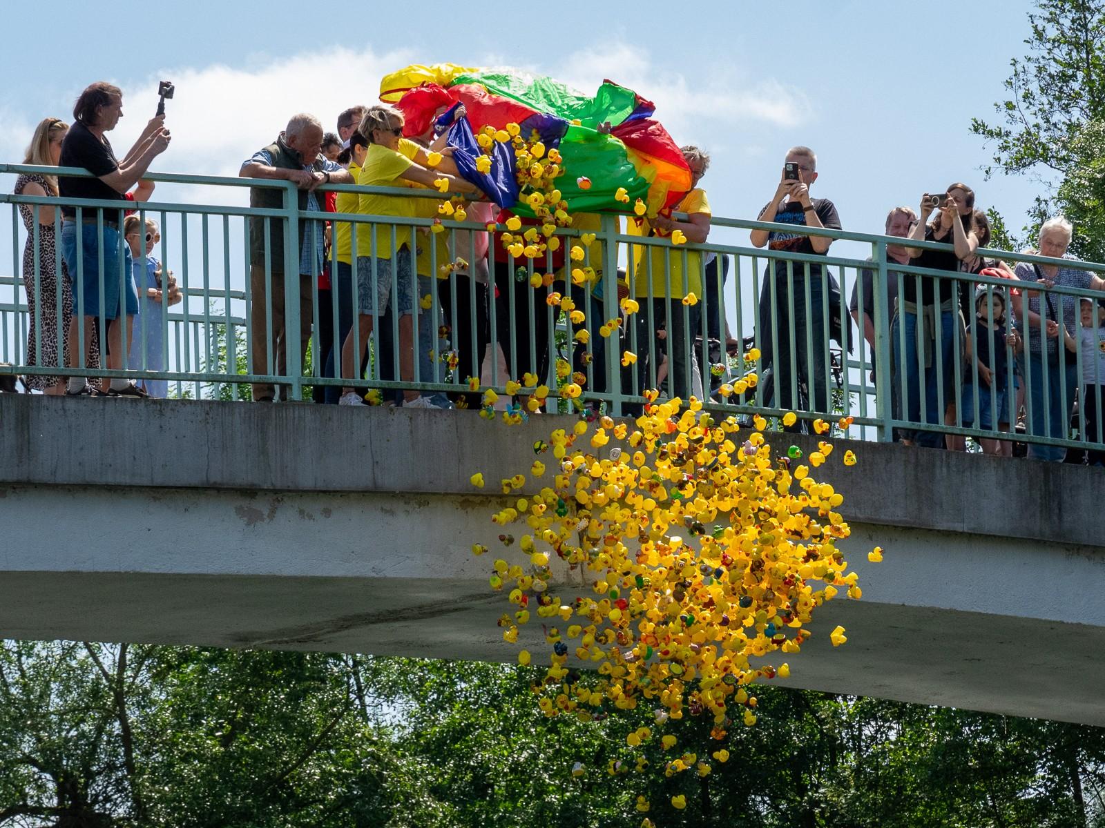 Start des Entenrennens bei der Mülheimer Veranstaltung Voll die Ruhr am 06.08.2024