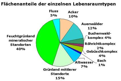 Anteile der Lebensräume der Ruhraue.