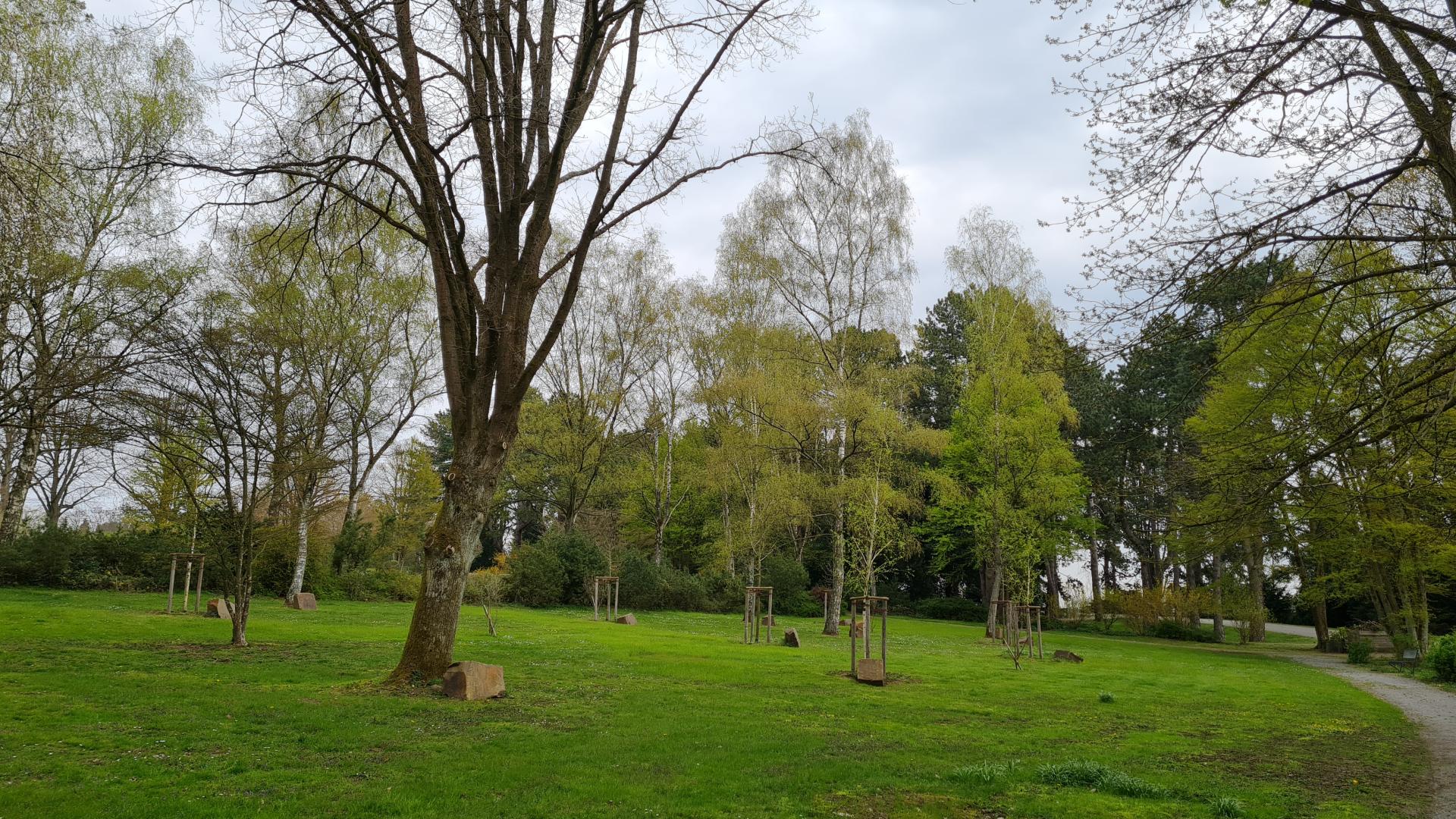 Familienbäume auf dem Hauptfriedhof