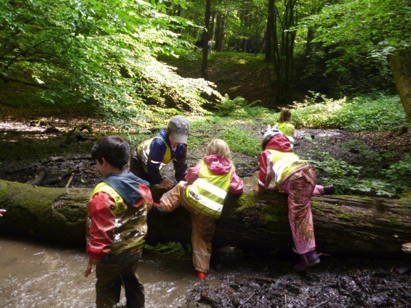 Mehrere Kinder erkunden und erklettern einen liegenden Baumstamm im verregneten Wald. Gemeinsam mit anderen Kindern entdeckten und forschen.