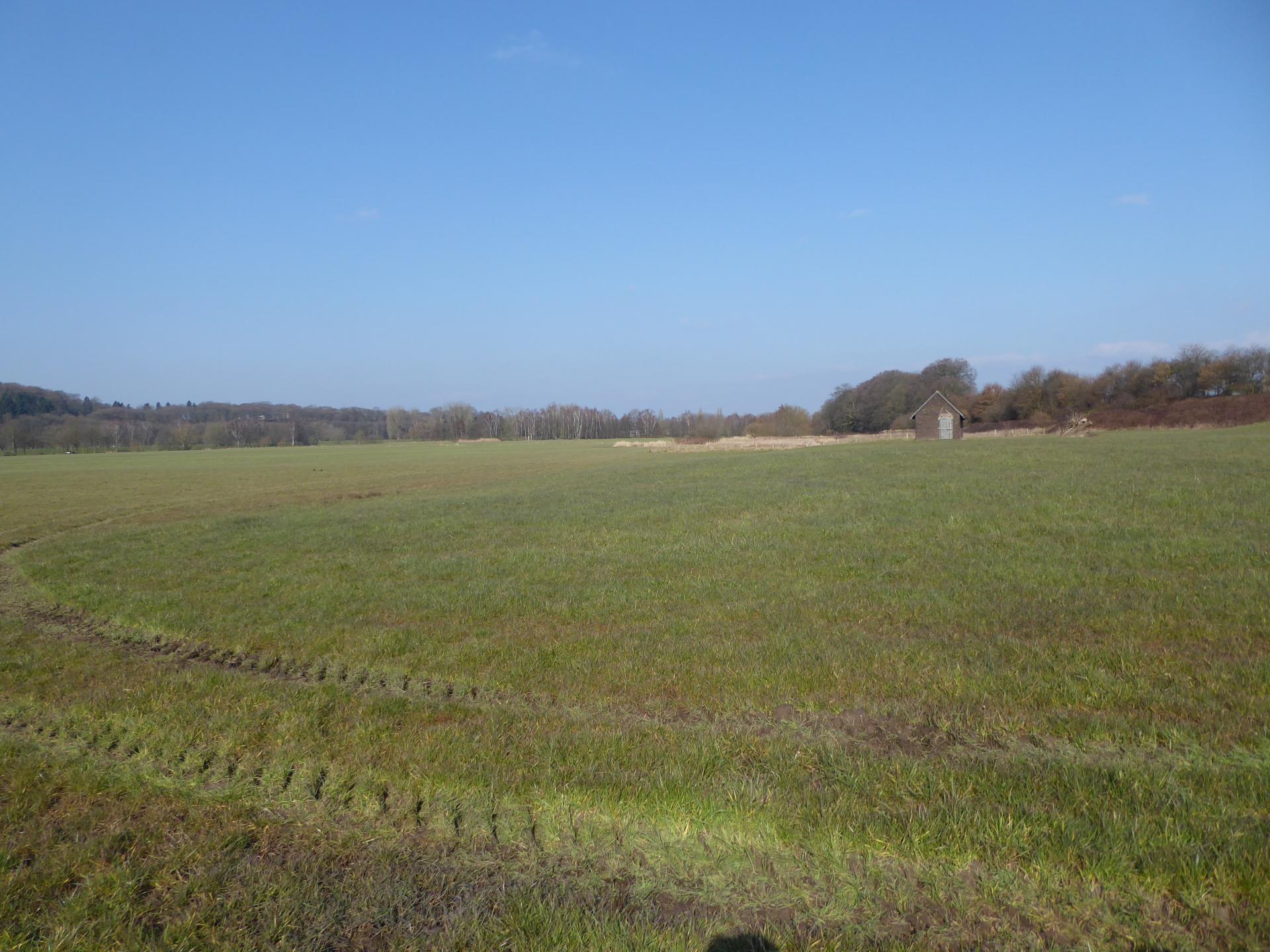 Blick von der Rossenbeck nach Norden Richtung Kocks Loch.