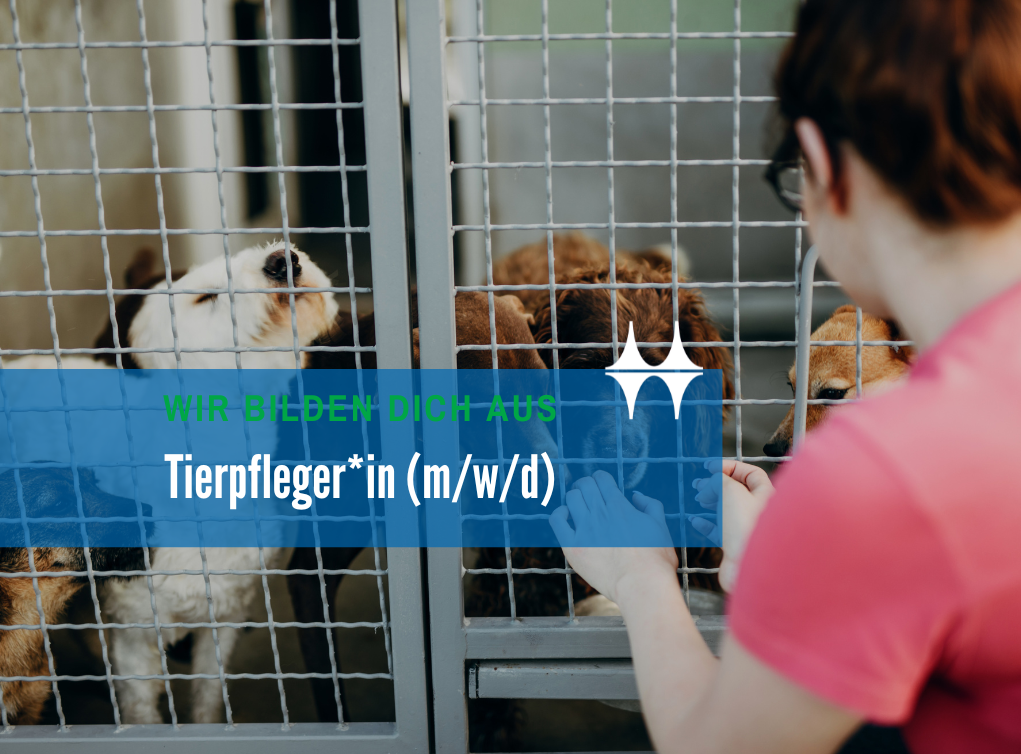 Das Bild zeigt eine junge Frau hockend vor einem Zwinger, in dem sich Hunde befinden.