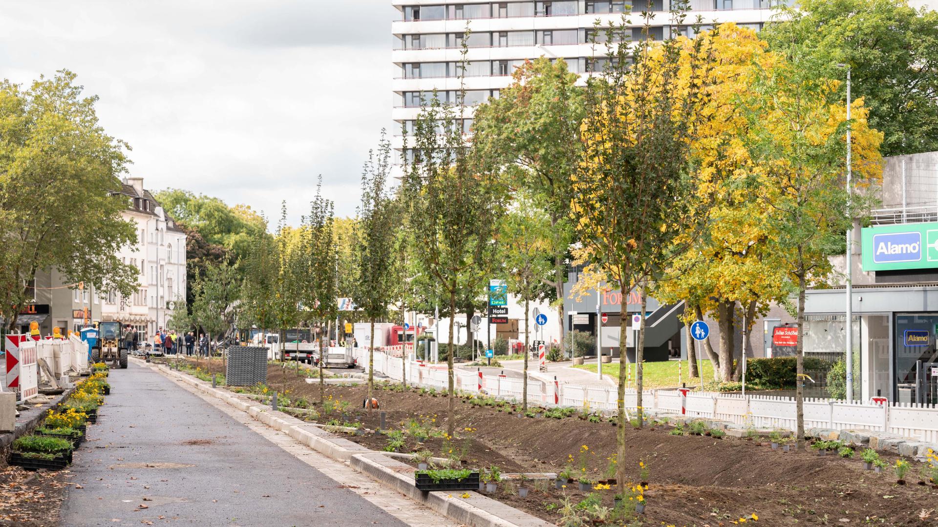 Bauminsel Dickswall, links und rechts davon Straße mit Gebäuden und Baustellenabsperrungen.
