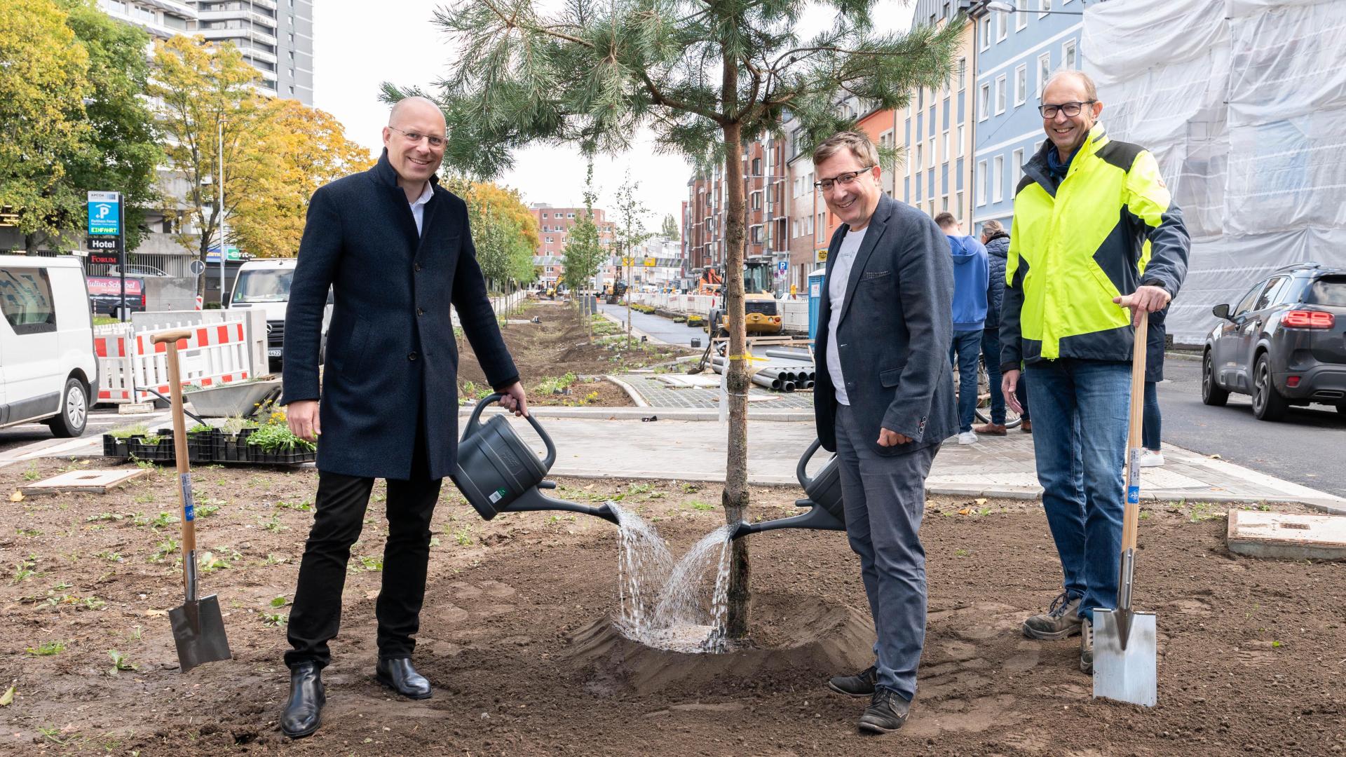Drei Männer gießen einen frisch gepflanzten Baum auf der Bauminsel, an der Baustelle Dickswall, zwei halten Gießkannen, einer eine Schaufel.