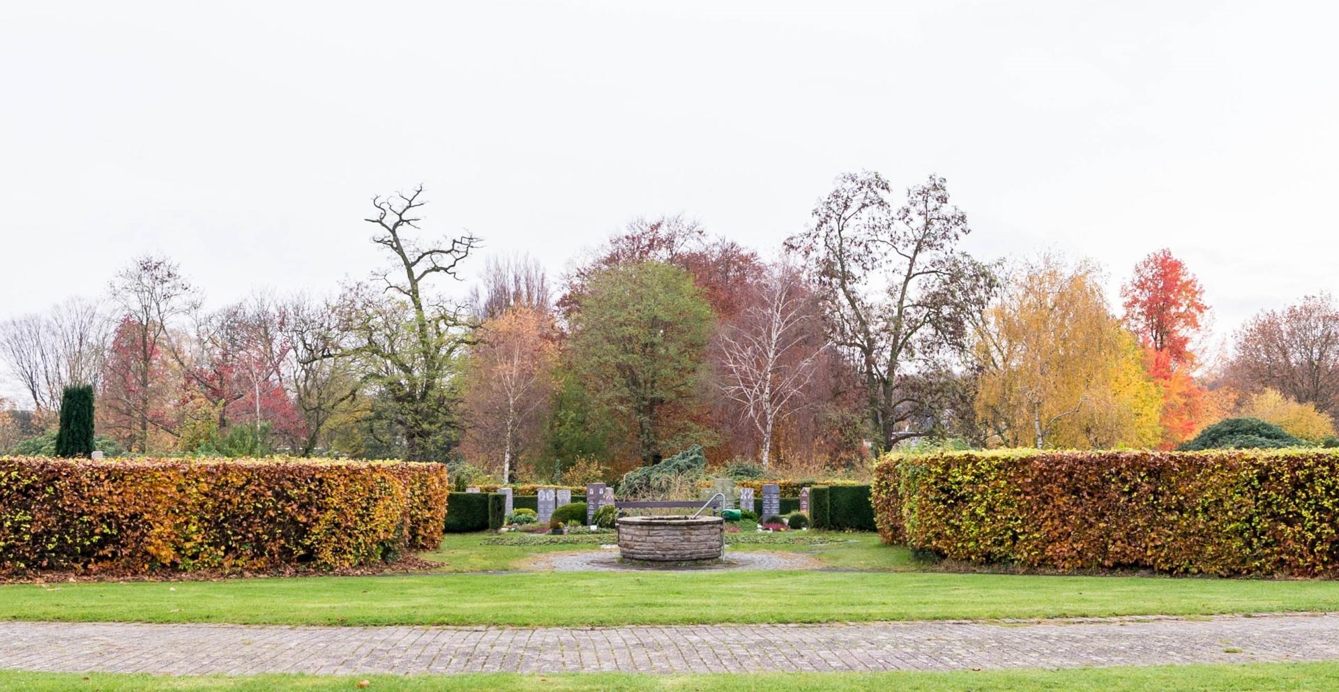 Ein Brunnen auf dem Hauptfriedhof zwischen herbstlicher Hecke. Im Hintergrund Grabmale