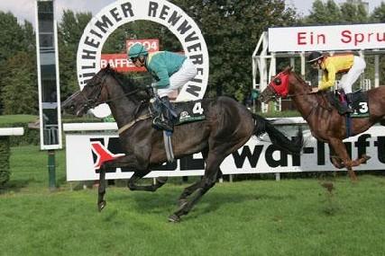 Zieleinlauf der Rennpferde beim Renntag auf der Galopprennbahn am Raffelberg