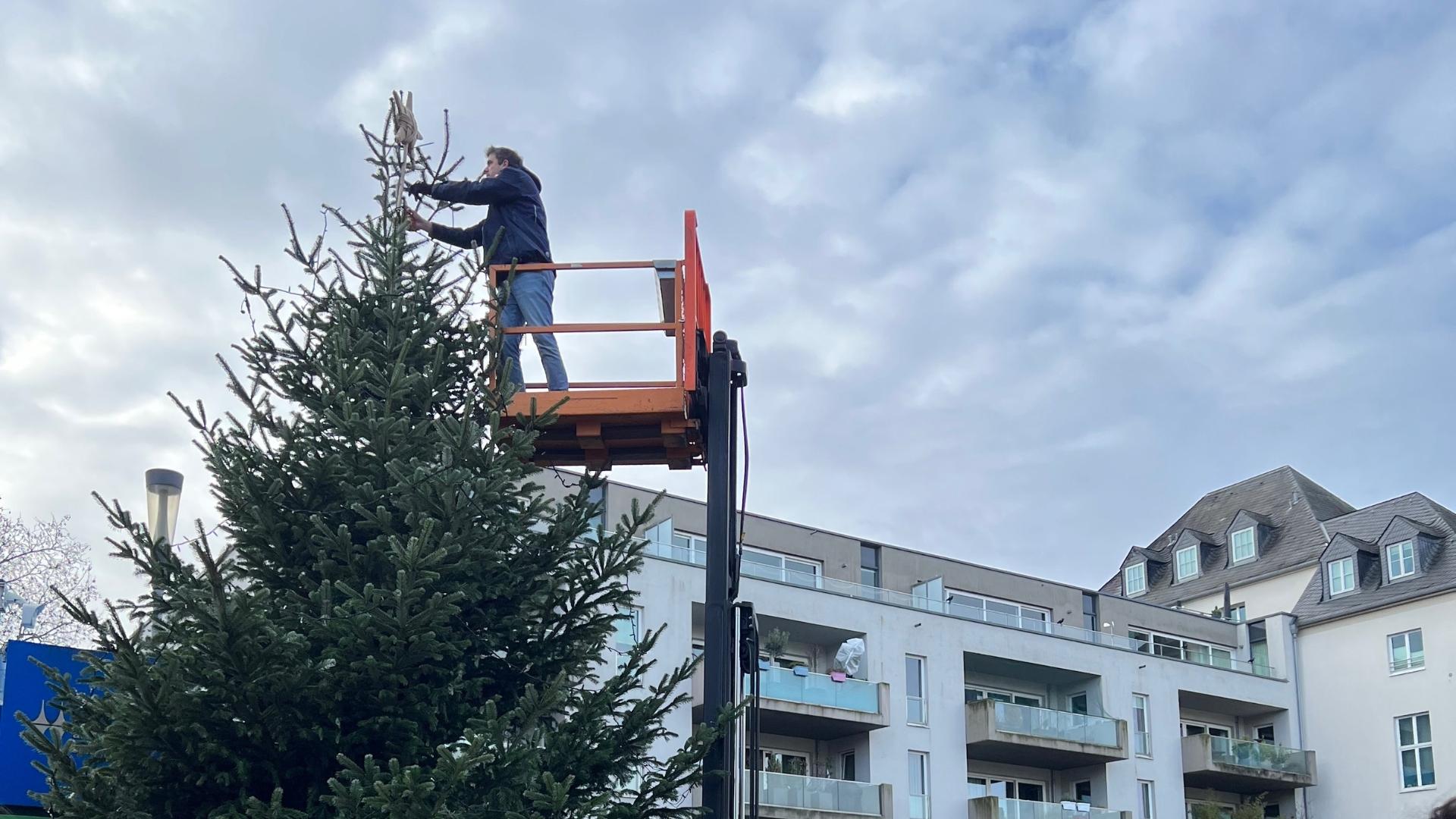 Mitarbeiter der MST GmbH schmückt mithilfe eines Gabelstaplers den Weihnachtsbaum am Hafenbecken