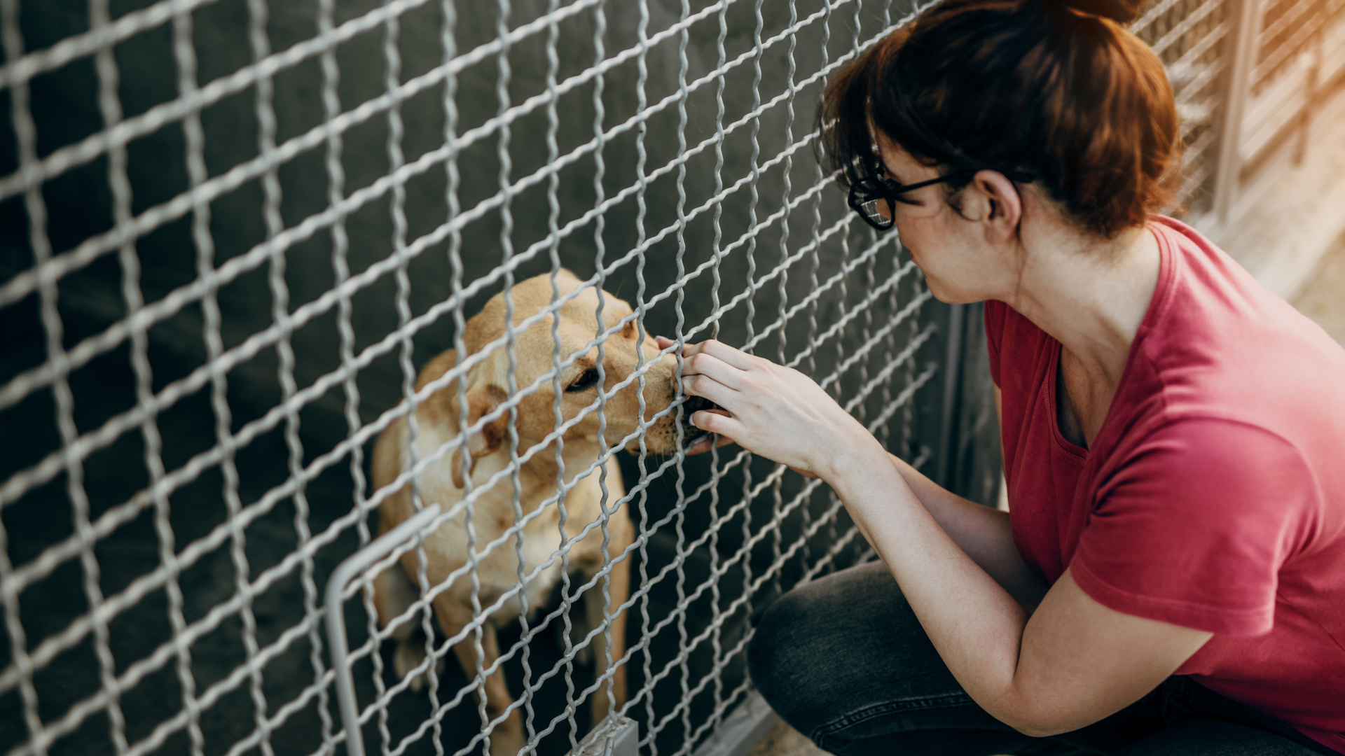 Frau vor einem Hundezwinger im Tierheim