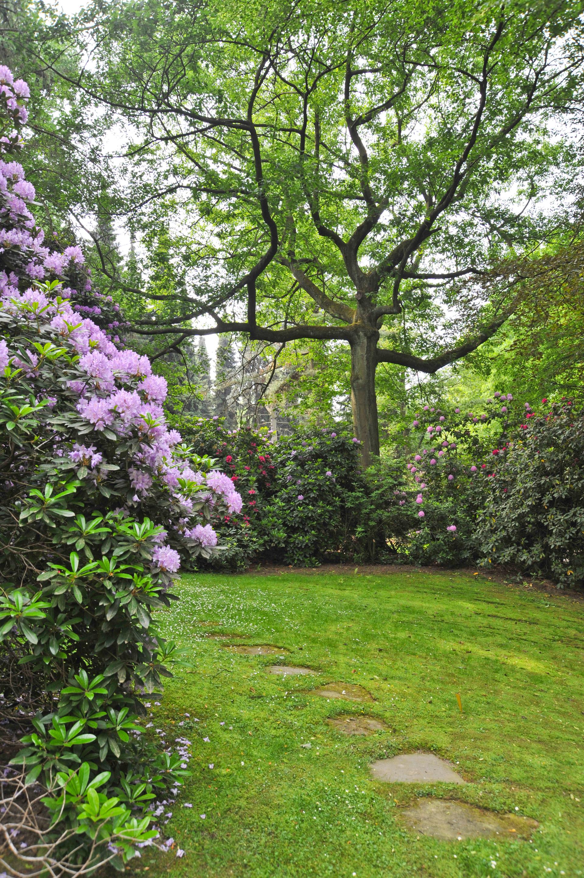 Waldgrabstätte auf dem Hauptfriedhof in Mülheim