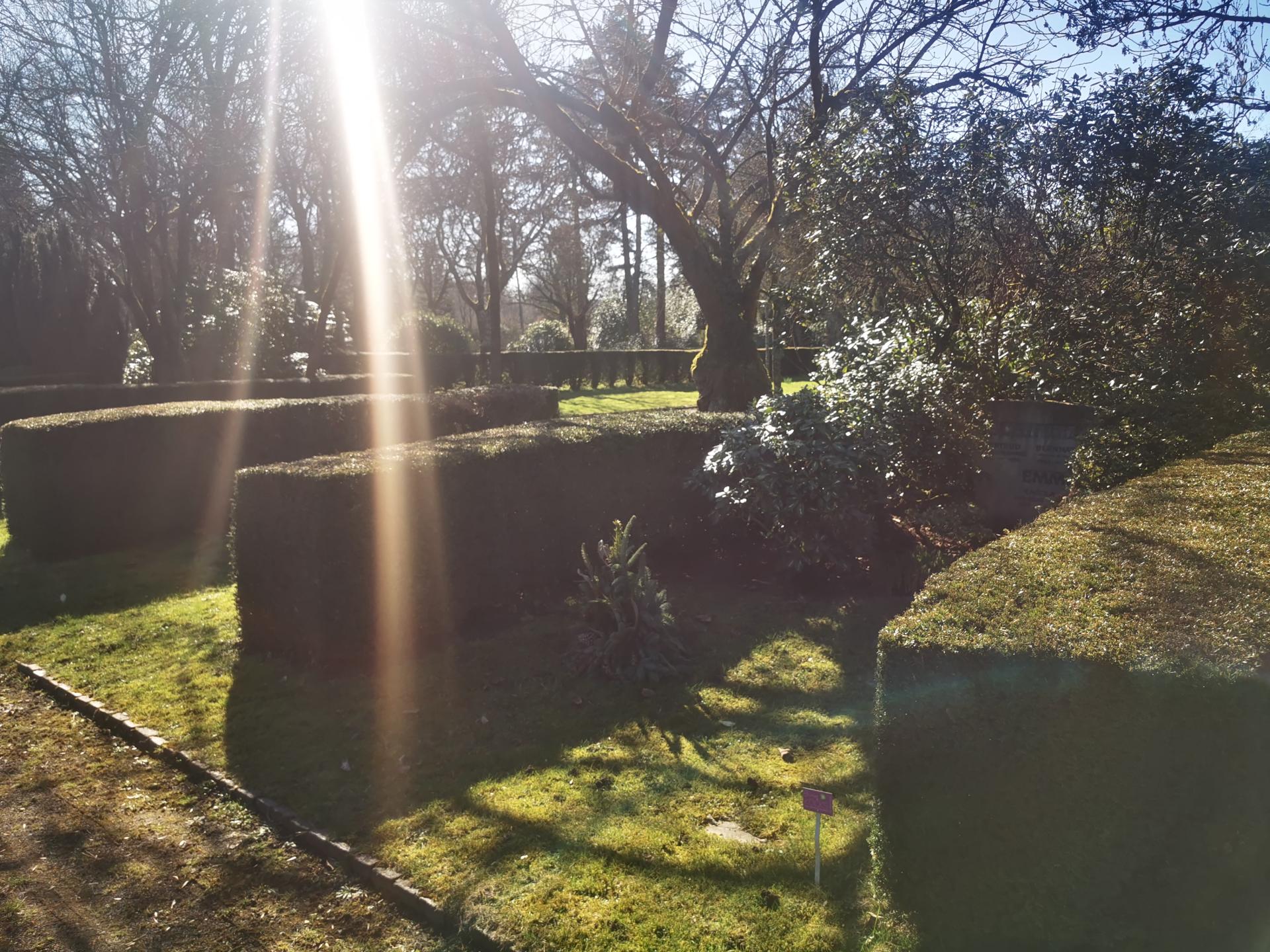 Familiengrabstätten auf dem Hauptfriedhof Mülheim