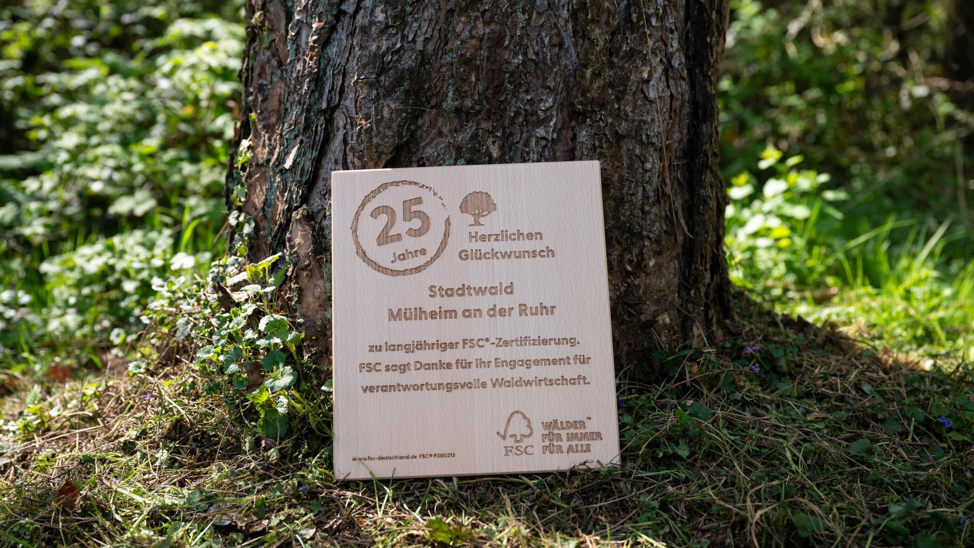 Holzschild mit Text zur 25-jährigen FSC-Zertifizierung am Baumstamm im Wald in Mülheim an der Ruhr