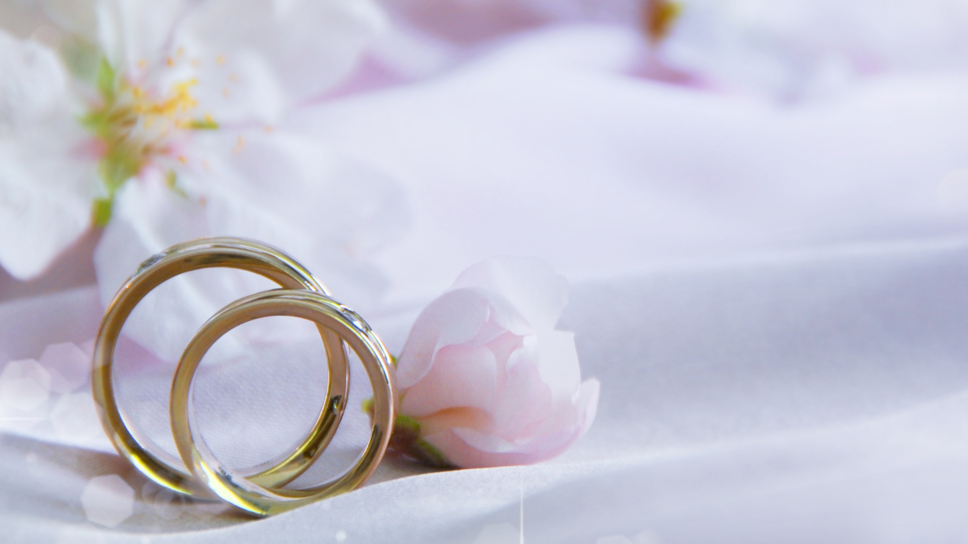 Auf dem Foto sind zwei Eheringe abgebildet, die auf einem weißem Seidentuch liegen.