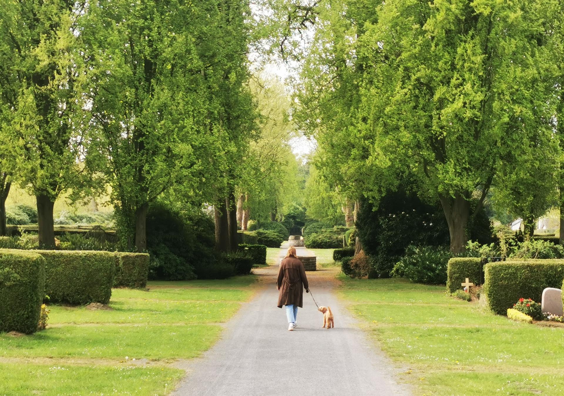 Ein Hundebesitzerin auf einem Weg auf einem Friedhof. Der Hund ist an der Leine, beide sind von hinten zu sehen
