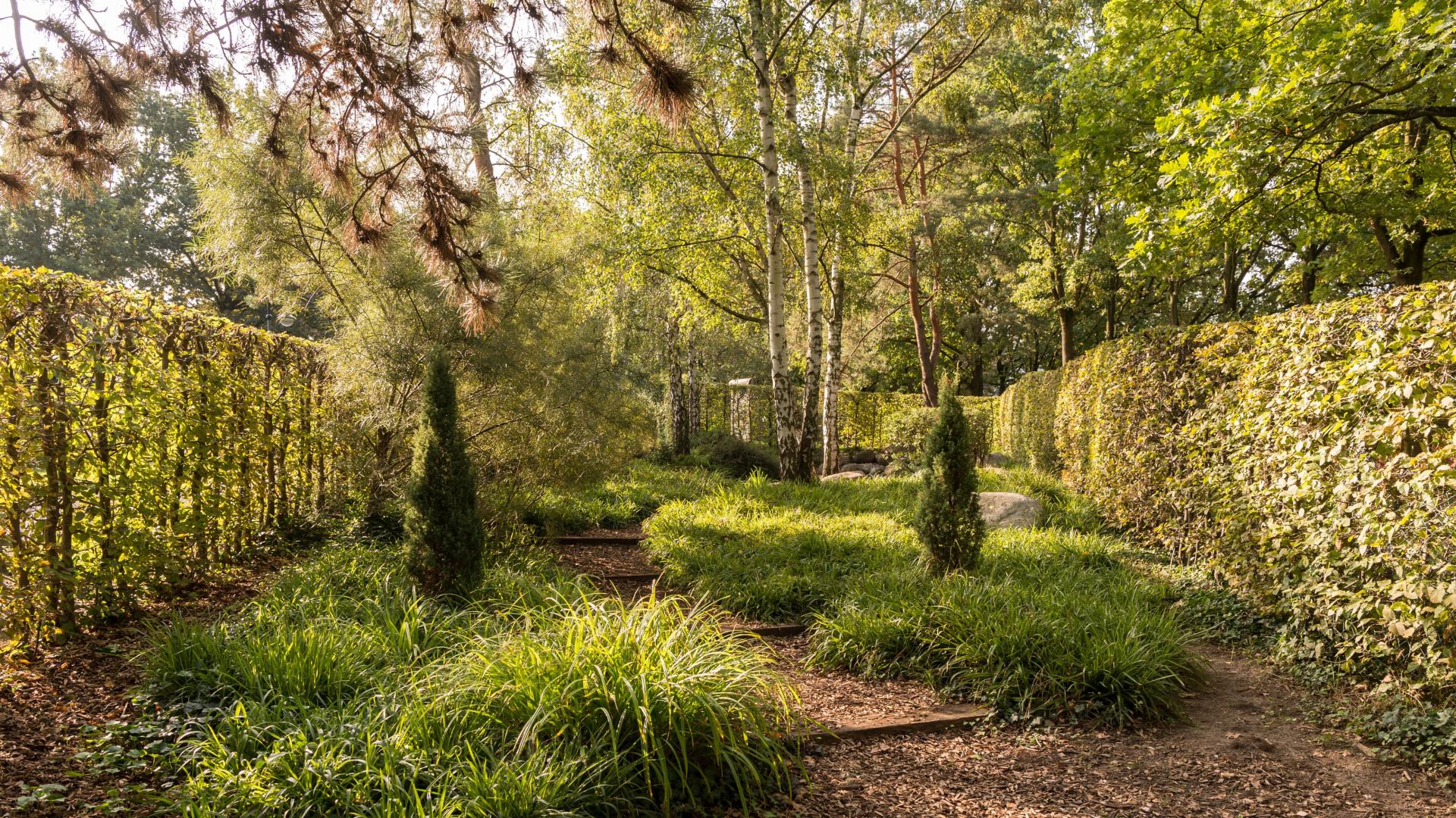 das Foto zeigt den Finnischen Garten in der MüGa