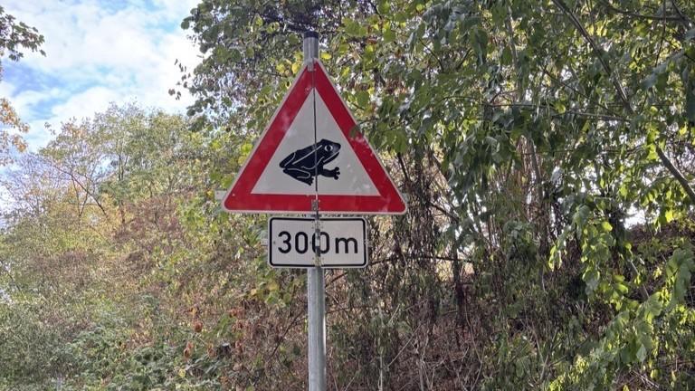 Das Foto zeigt den Rand eines Fahrradweges mit Büschen und Bäumen auf der rechten Seite. Im Mittelpunkt ist ein Warnschild mit einer Kröte und dem Zusatz 300m zu sehen.