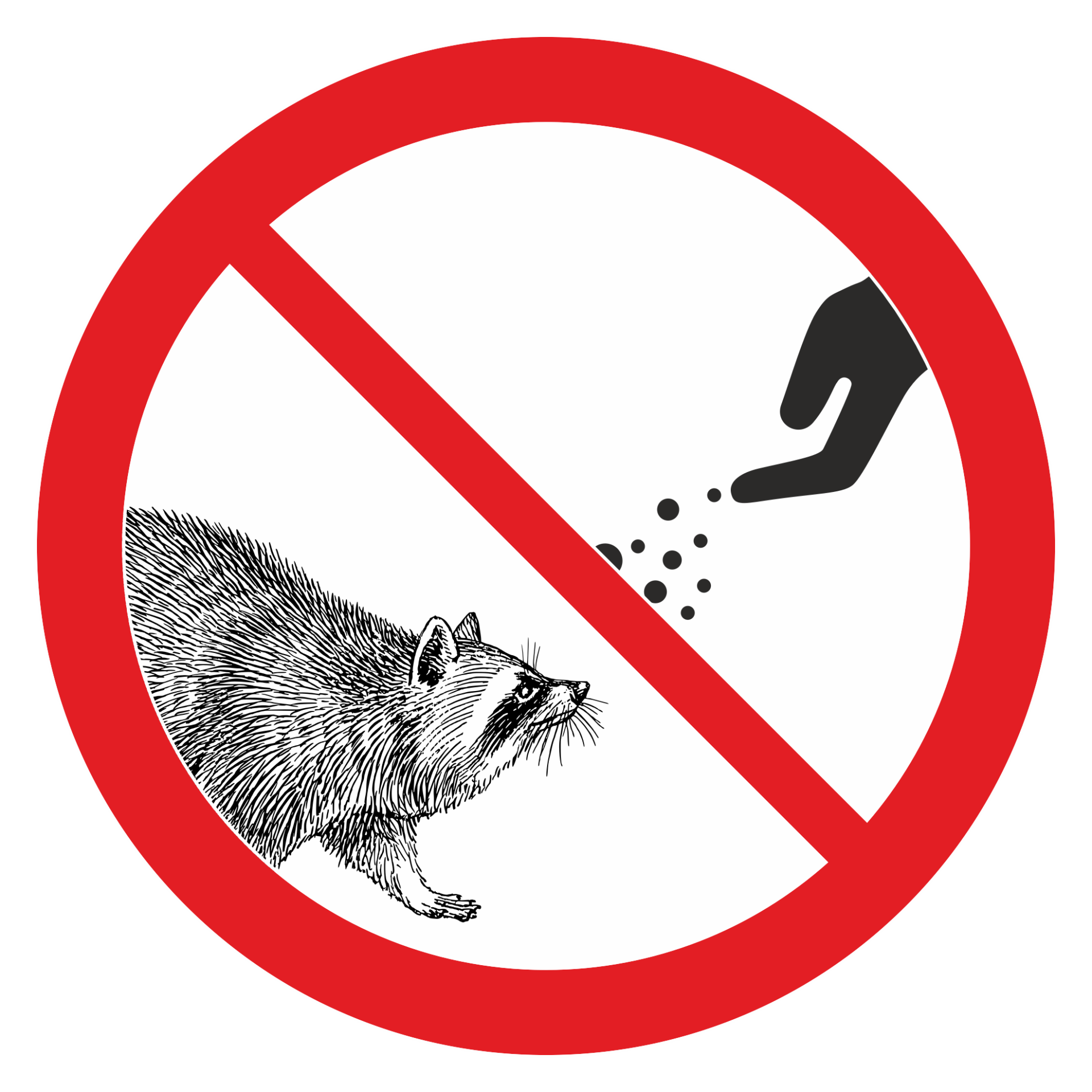 Fütterungsverbot Waschbär